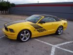 mustang